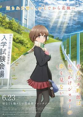 看美女网站